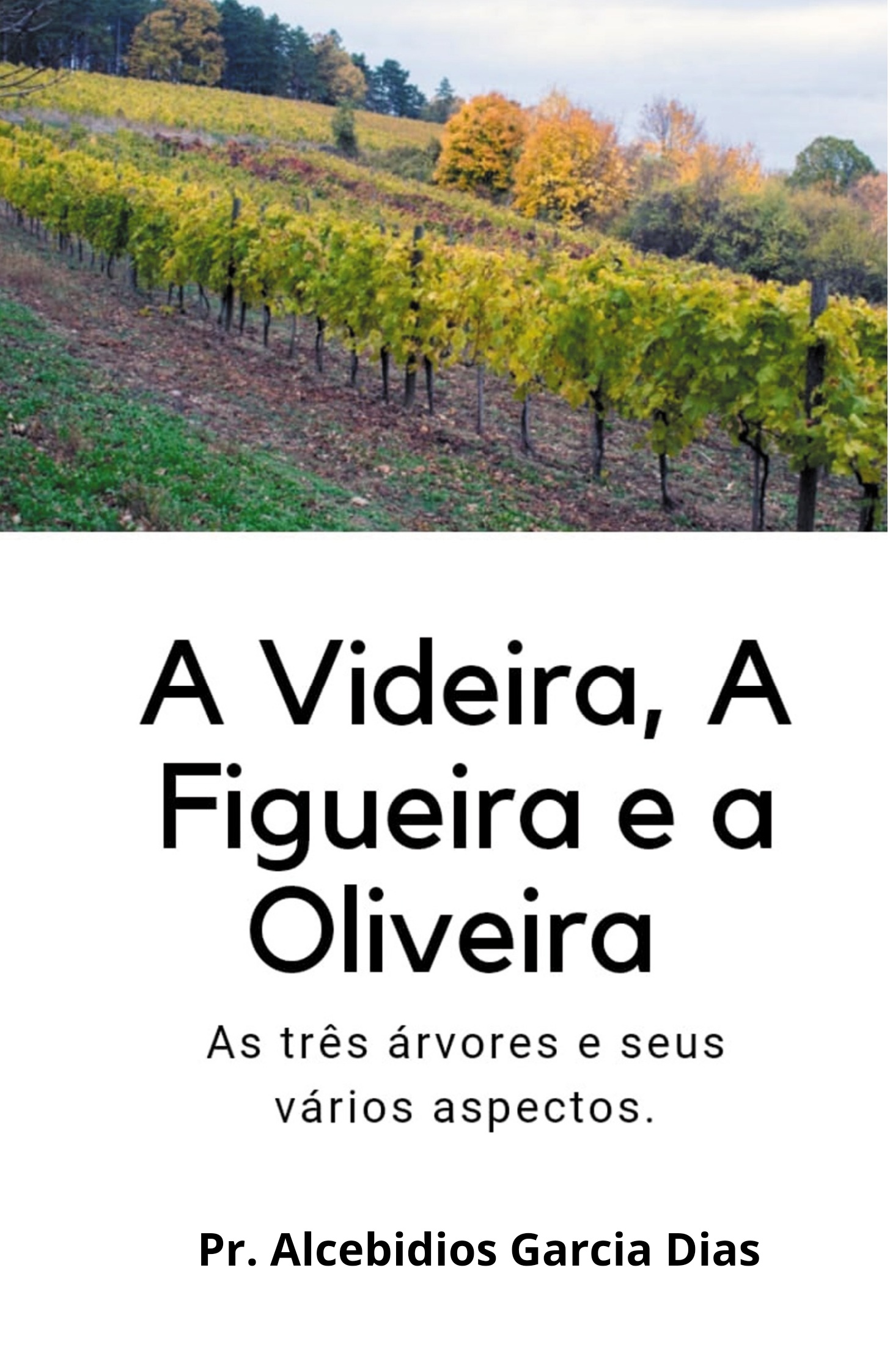 Escatologia e ndices Gerais - Manual Fundamental de Sobrevivncia Teolgica - volume 8