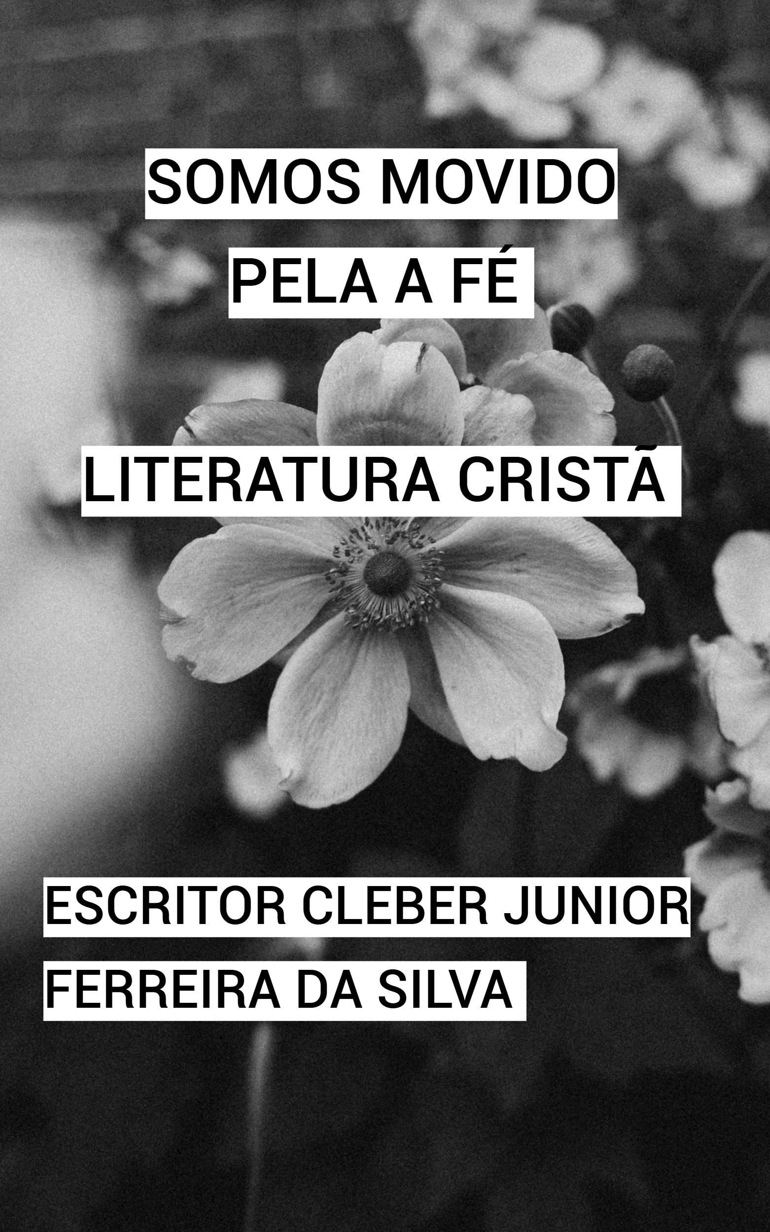 LETRAS PELA A F LITERATURA POESIA 