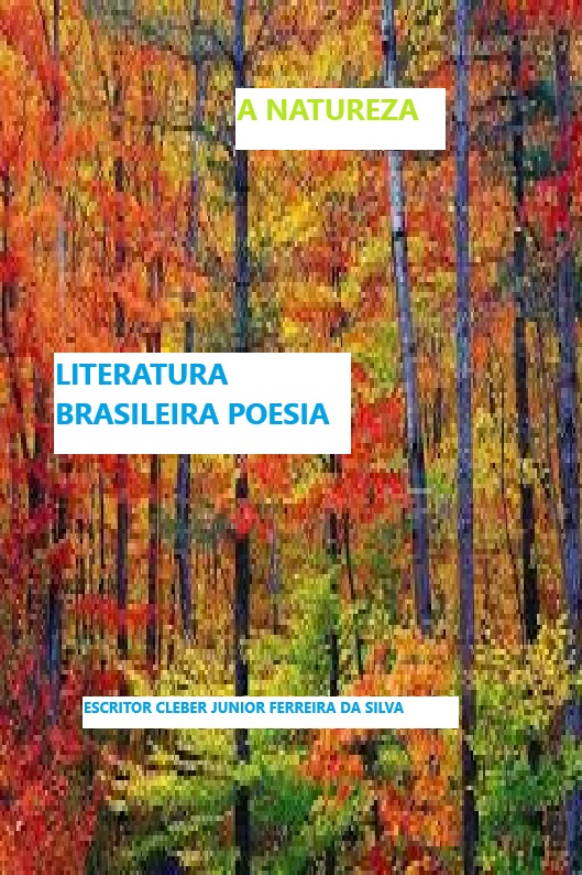 O RENDETORISTA DA F LITERATURA CRIST 