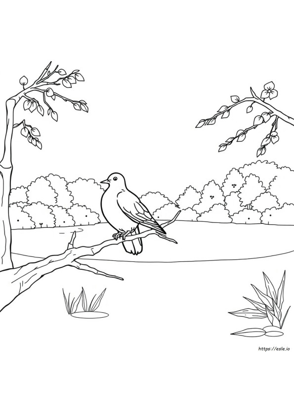 COLE��O CONDOR - 2