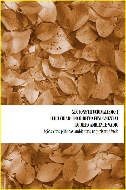 Neoconstitucionalismo e a efetivao do direito fundamental ao meio ambiente sadio: