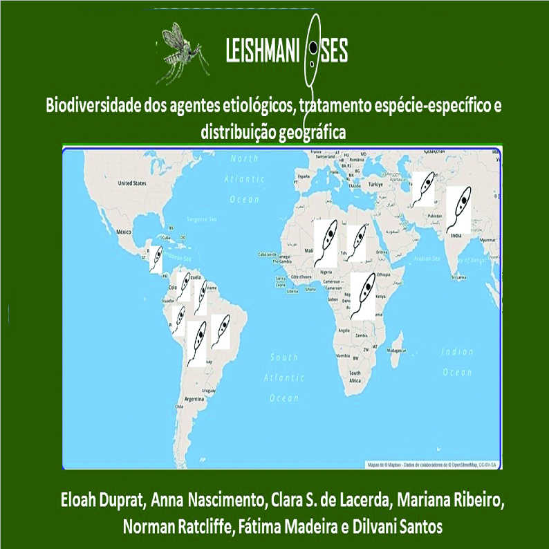 SUBSDIOS PARA OS DESATINOS - UM INSTRUMENTO DE TRABALHO