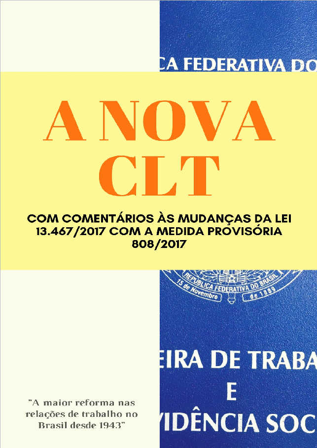 A admisso da desconsiderao da personalidade jurdica nos contratos administrativos