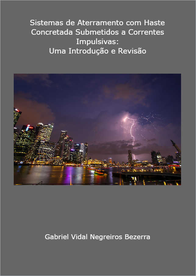 Proteo de sistemas eltricos por releamento piloto. Uma viso computacional