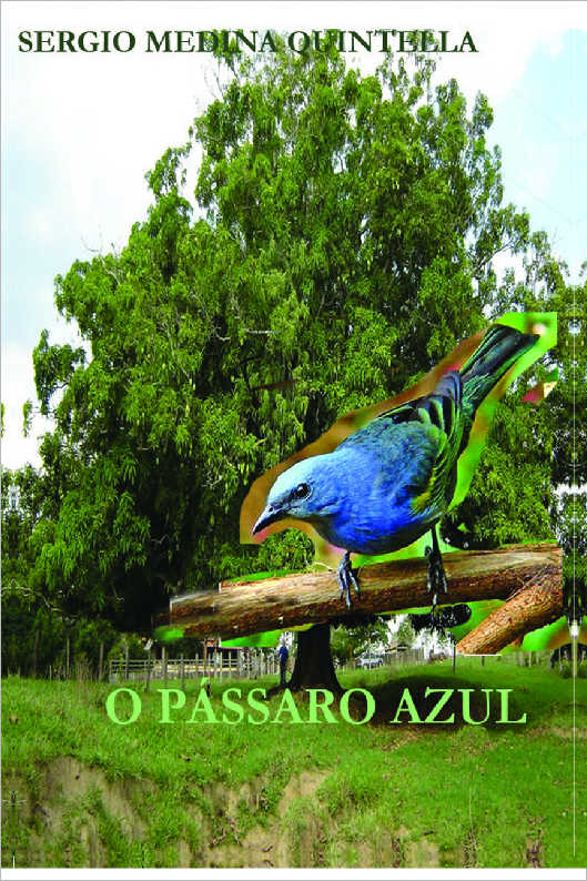 O PSSARO AZUL